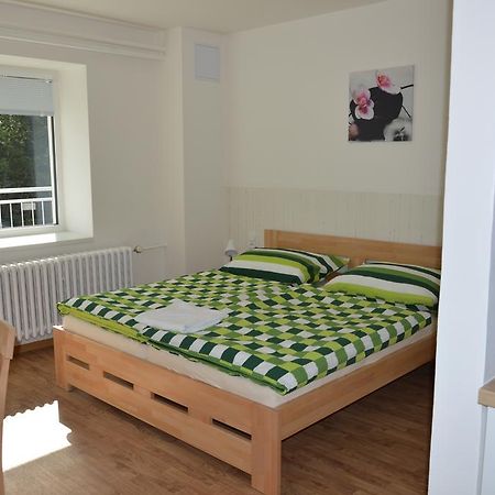 Penzion Havelka Apartmany Železná Ruda エクステリア 写真
