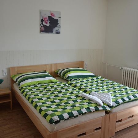 Penzion Havelka Apartmany Železná Ruda エクステリア 写真